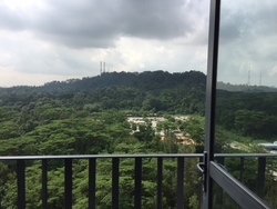 Foresque Residences (D23), Condominium #180376192
